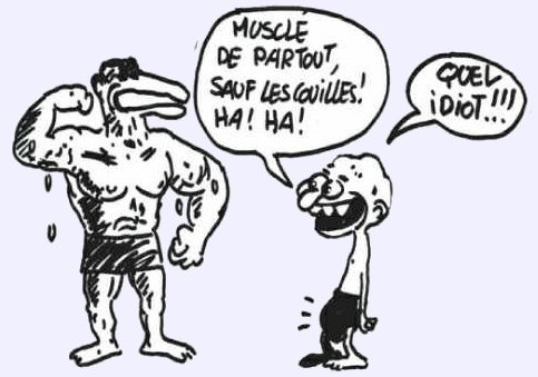 Musclé des couilles